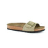 Amber Olive