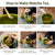 Matcha Kit, 5 delar