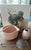 Matcha Kit, 5 delar