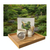 Matcha Kit, 5 delar