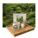 Matcha Kit, 5 delar