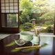 Matcha kit grönt japansk trädgård
