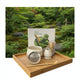 Vitt Matcha kit